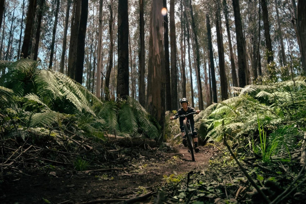 Victoria's hidden MTB gem Lake Mountain bikeNOW