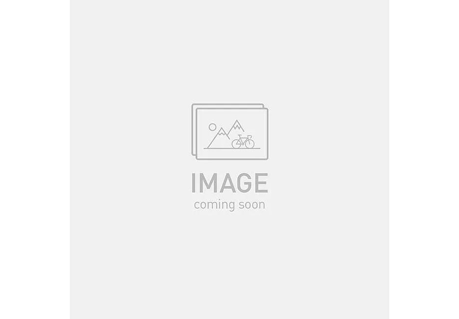 Men's RBX Bib Shorts