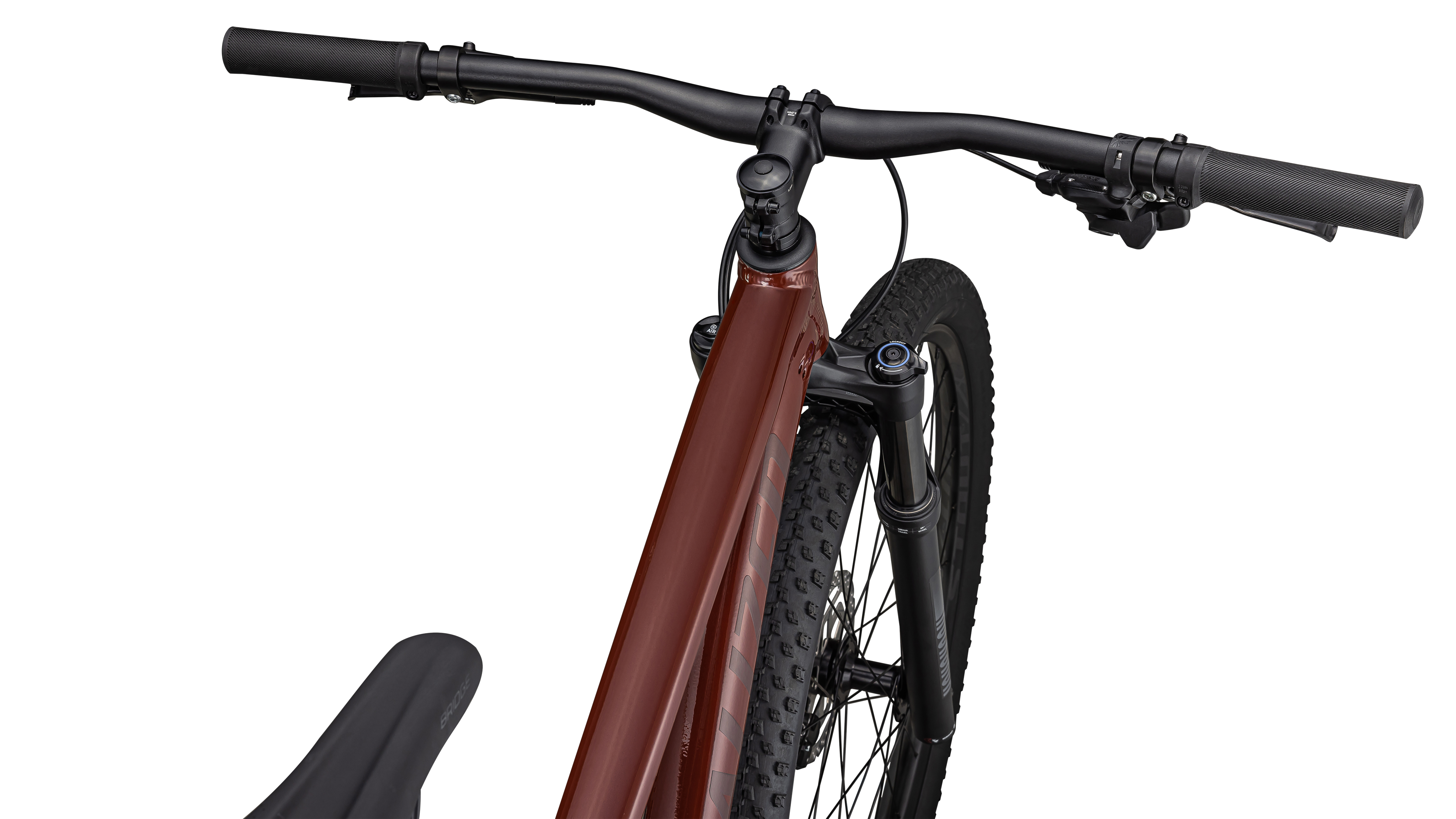 Rockhopper Expert 29