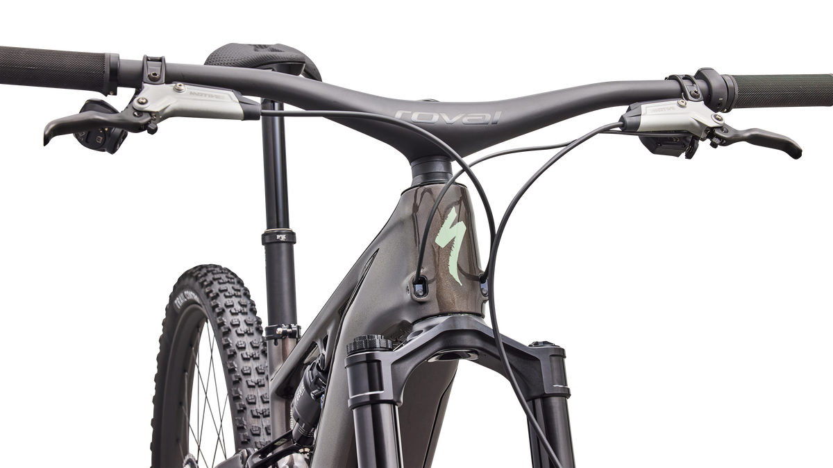 S-Works Turbo Levo R