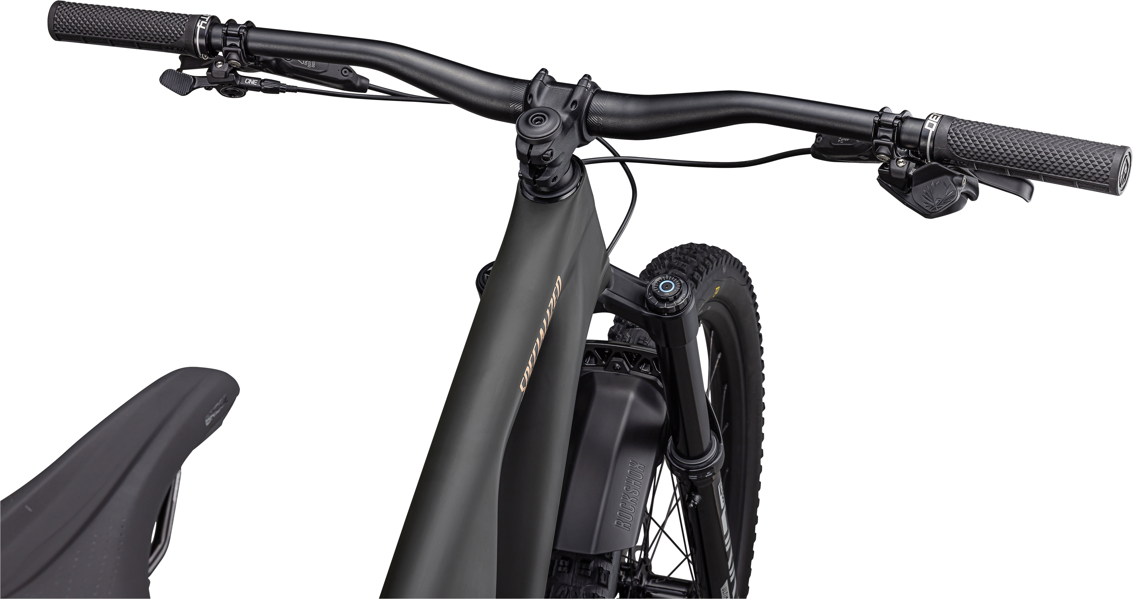 Stumpjumper EVO LTD - SRAM GX Eagle AXS, RockShox Ultimate