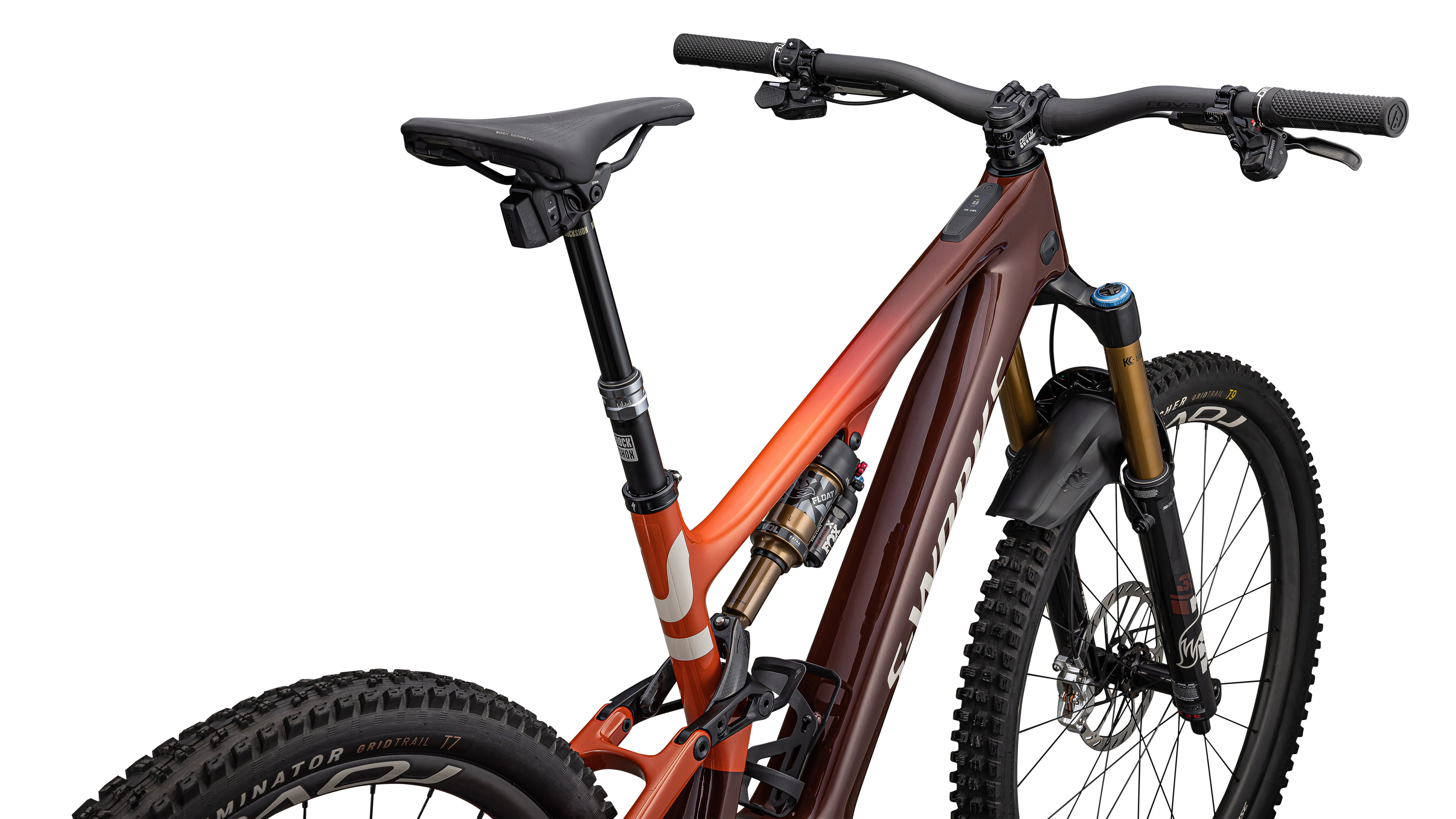 S-Works Turbo Levo SL 2 Carbon