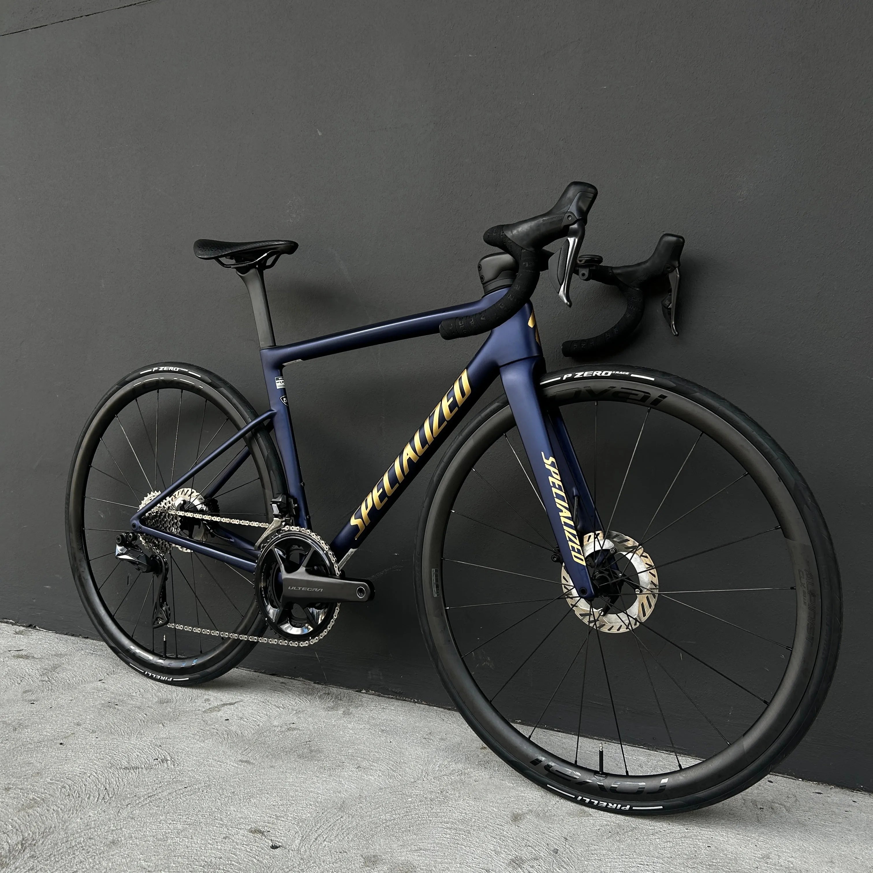 CUSTOM Tarmac SL8 Expert - FACT 10r Carbon