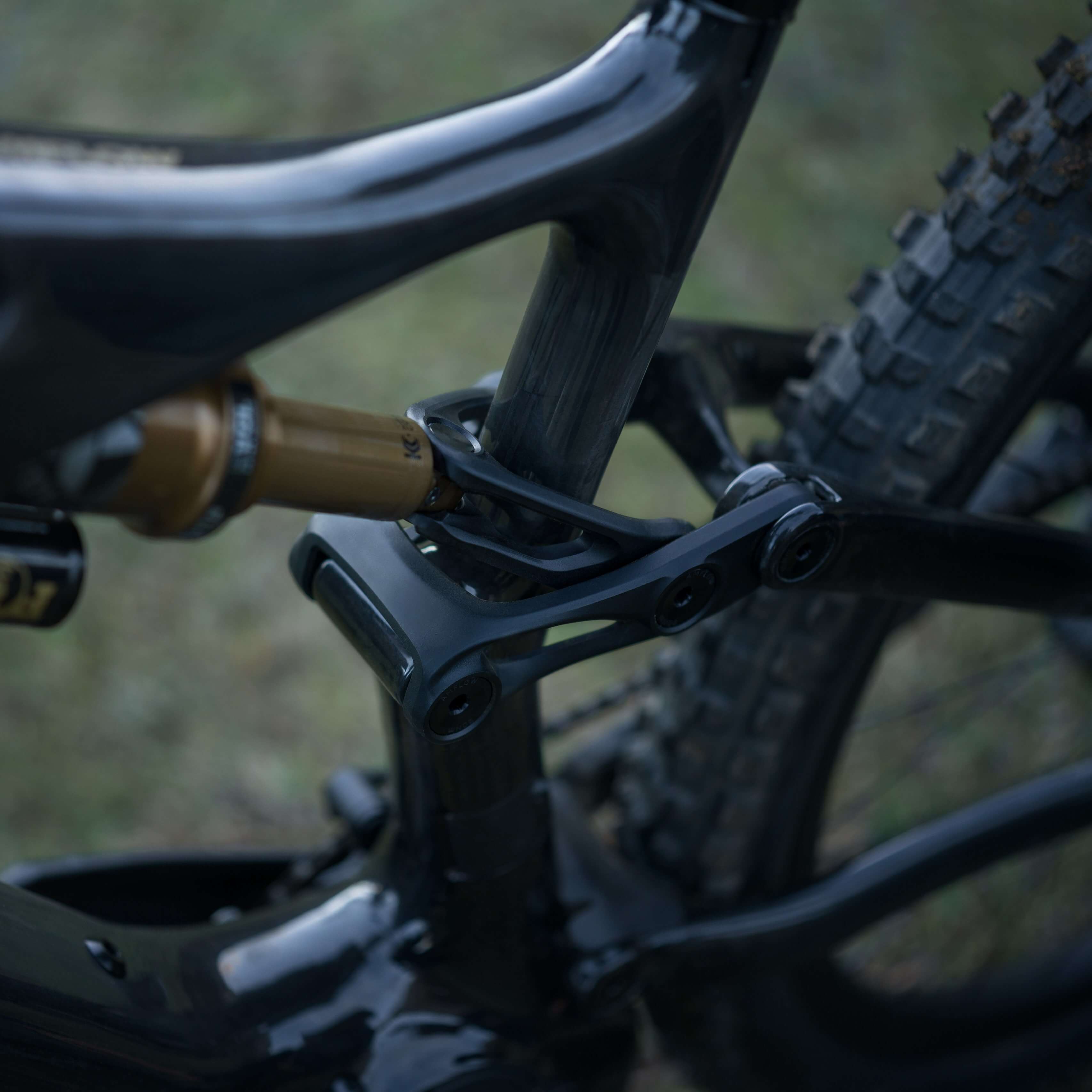 Amflow PL Carbon (800 Wh)