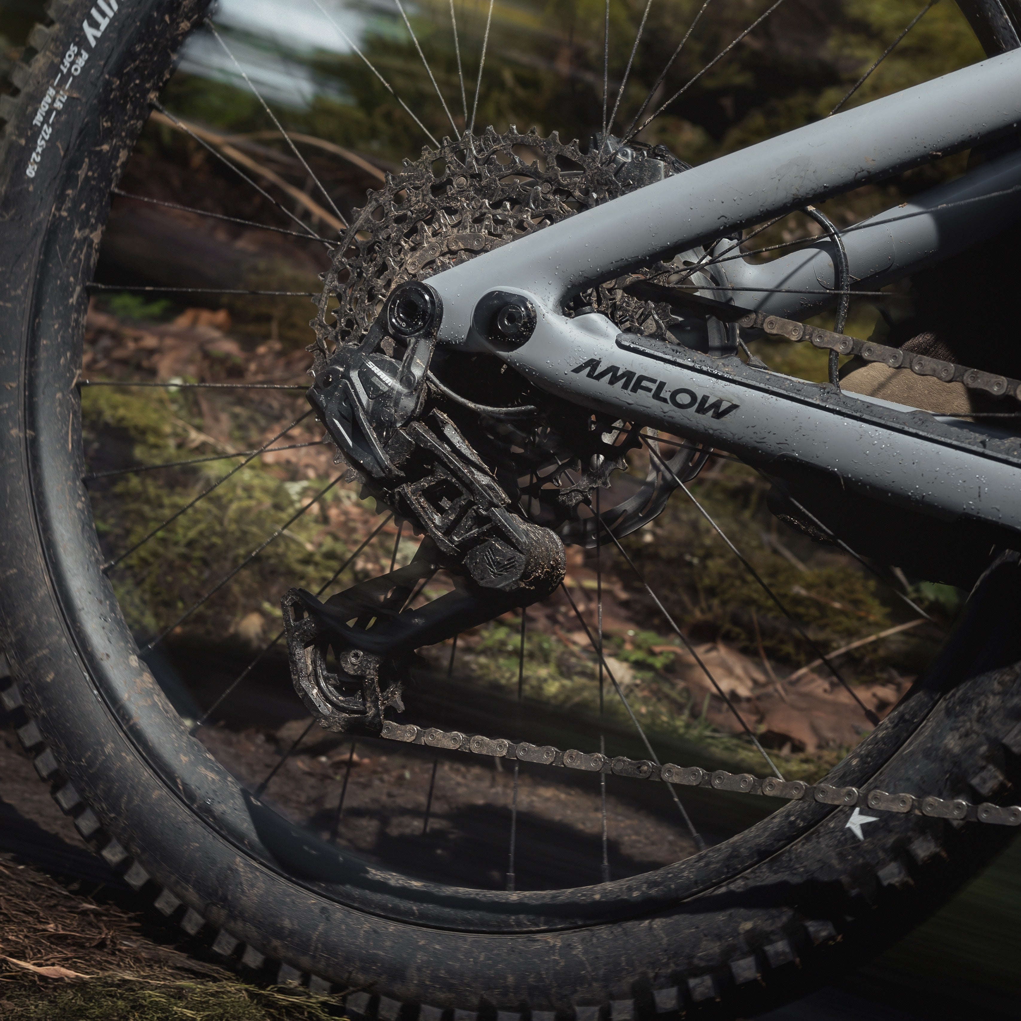 Amflow PR Carbon