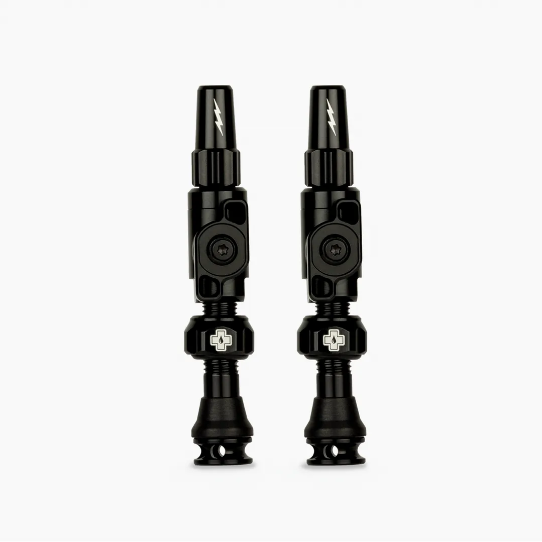 Big Bore Lite Tubeless Valves
