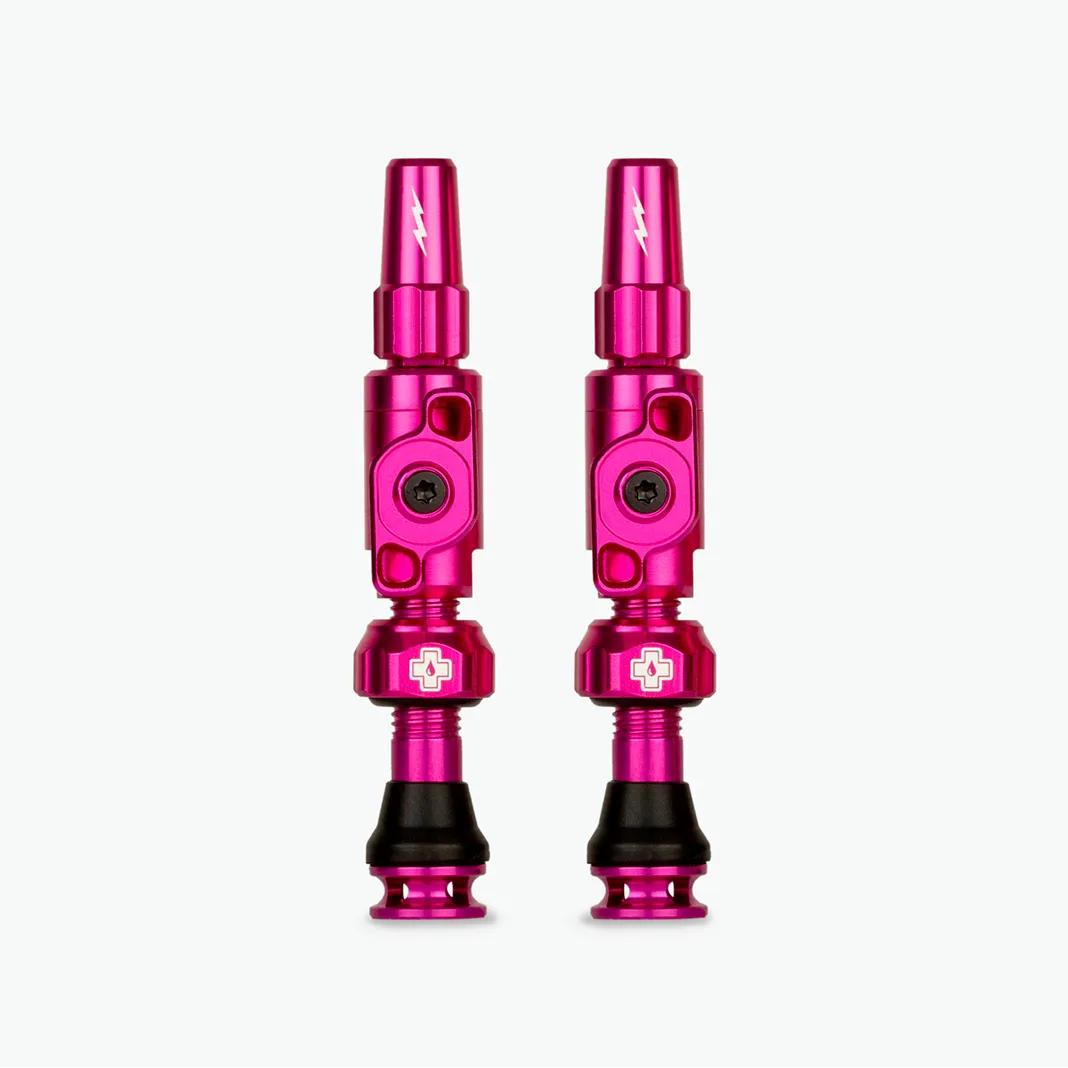 Big Bore Lite Tubeless Valves