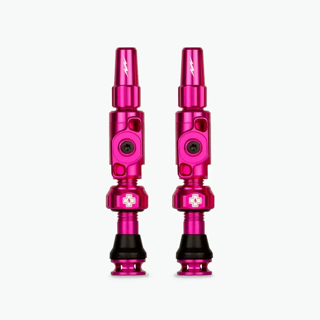 Big Bore Lite Tubeless Valves