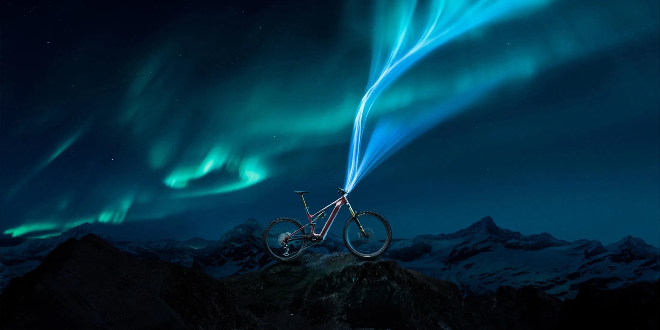 Specialized Turbo Levo