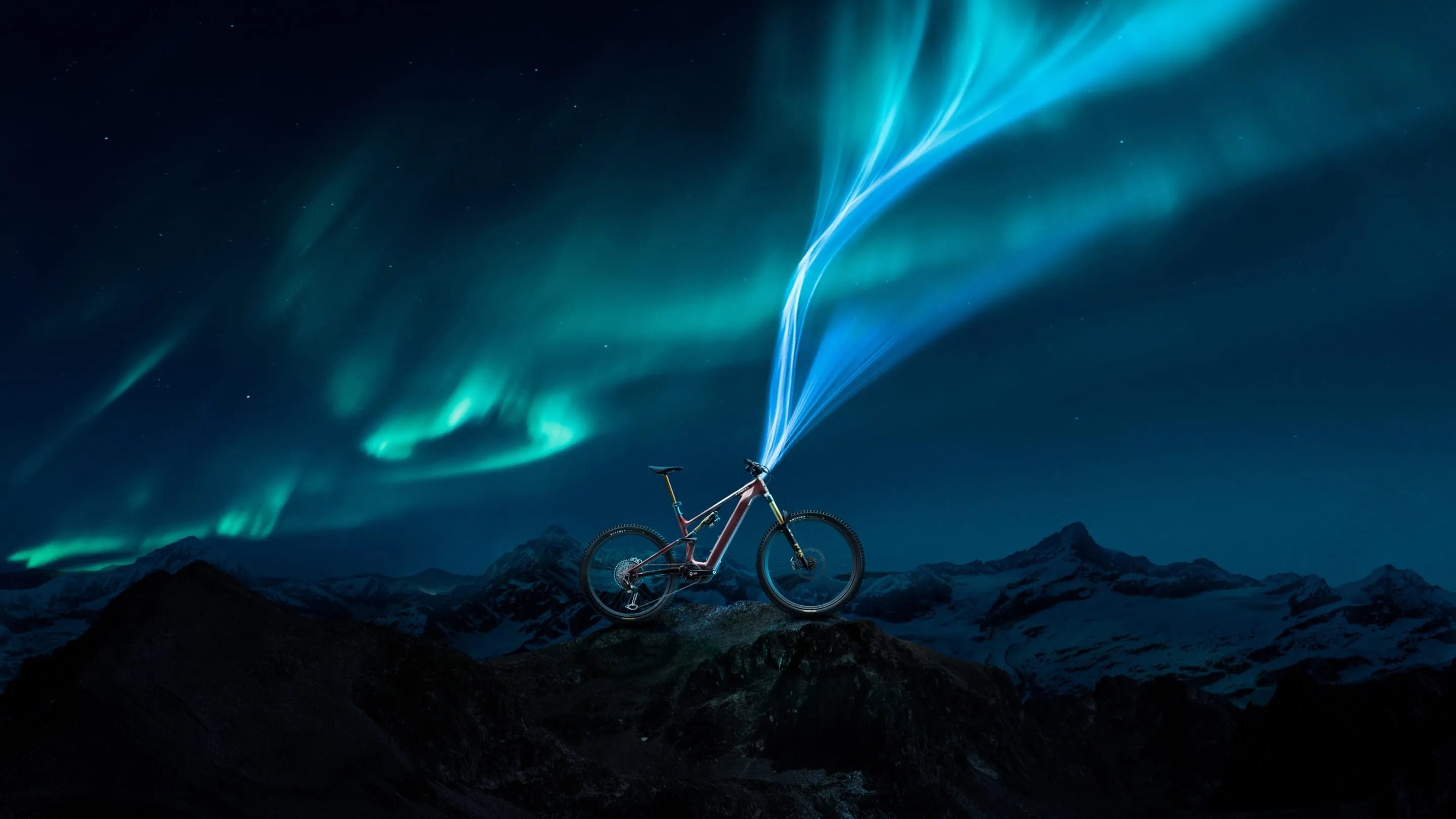 Specialized Turbo Levo 4