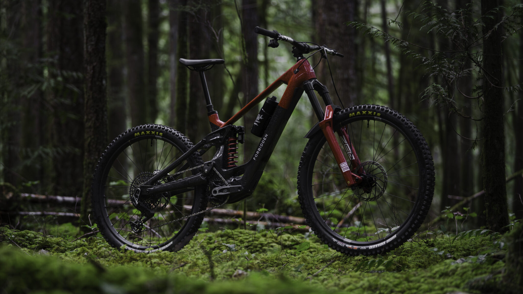 Electric Mountain Bikes