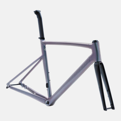Allez Sprint Frameset - D'Aluisio Smartweld Alloy