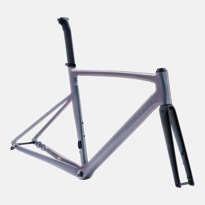 Allez Sprint Frameset - D'Aluisio Smartweld Alloy