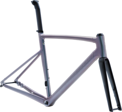 Allez Sprint Frameset - D'Aluisio Smartweld Alloy