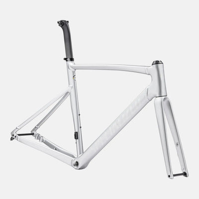Allez Sprint Frameset - D'Aluisio Smartweld Alloy