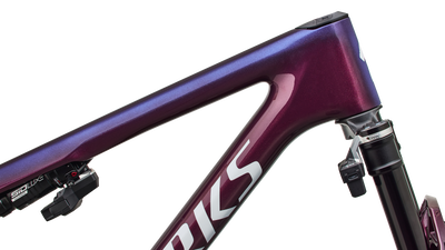 S-Works Epic 9 Frameset