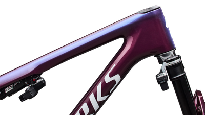 S-Works Epic 9 Frameset