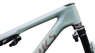 S-Works Epic 9 Frameset