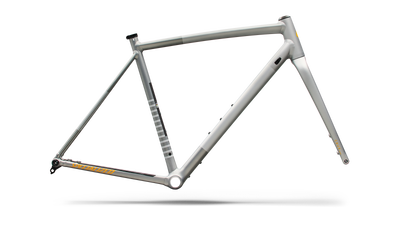 Crux DSW Frameset - D'Aluisio Smartweld Alloy