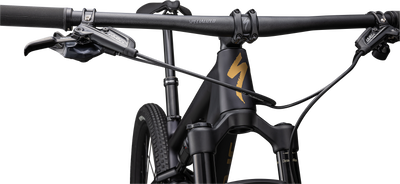 Epic Comp  - SRAM GX Eagle, RockShox SID SL/BRAIN