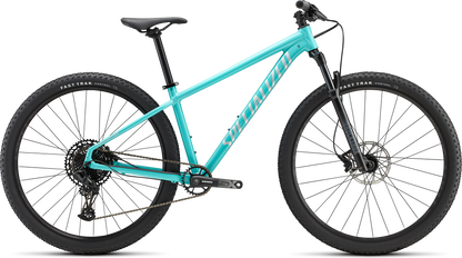 Rockhopper Expert 29