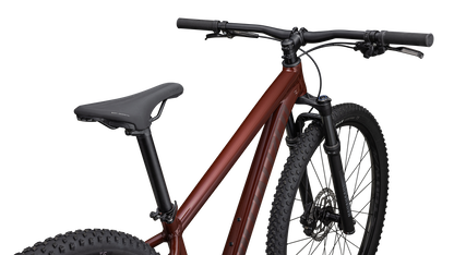 Rockhopper Expert 29