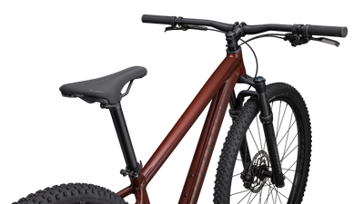 Rockhopper Expert 29