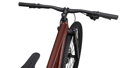 Rockhopper Expert 29