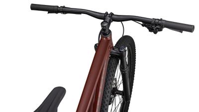 Rockhopper Expert 29