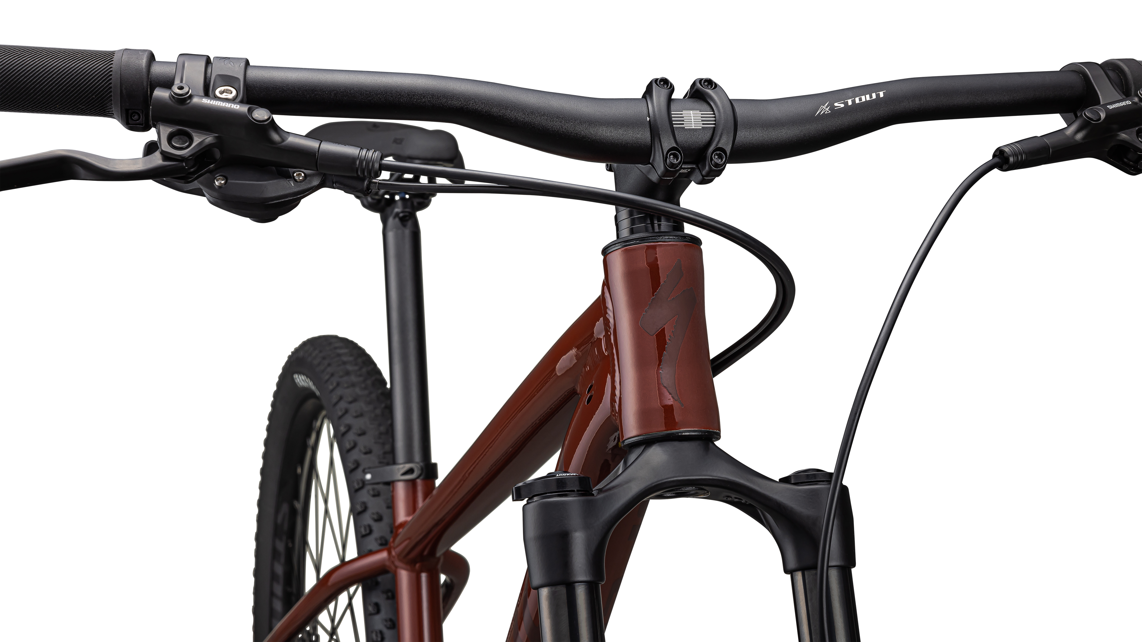 Rockhopper Expert 29