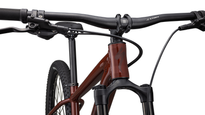 Rockhopper Expert 29