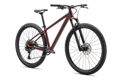 Rockhopper Expert 29