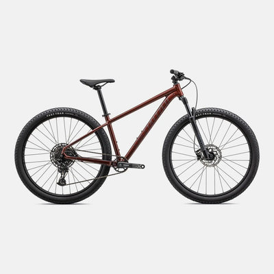Rockhopper Expert 29