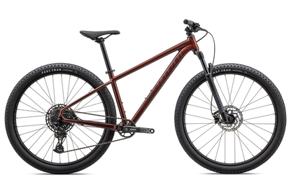 Rockhopper Expert 29