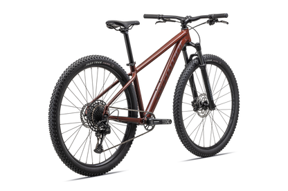 Rockhopper Expert 29