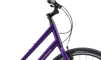 Crossroads 1.0 Step-Through