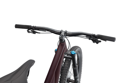 Stumpjumper Comp Alloy - SRAM NX Eagle, Fox Rhyhm