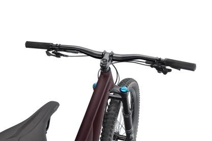 Stumpjumper Comp Alloy  - SRAM NX Eagle, Fox Rhyhm