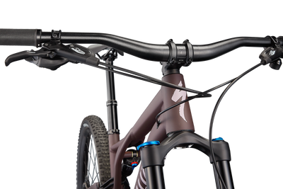 Stumpjumper Comp Alloy