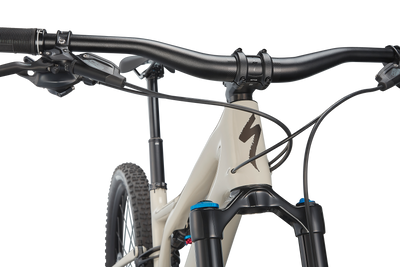 Stumpjumper Expert - SRAM GX Eagle, Fox Perormance Elite