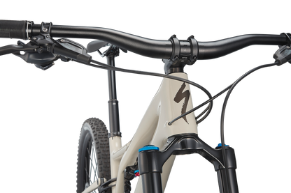 Stumpjumper Expert  - SRAM GX Eagle, Fox Perormance Elite