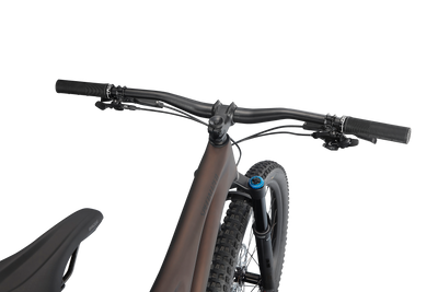 Stumpjumper Expert - SRAM GX Eagle, Fox Perormance Elite