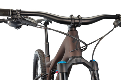 Stumpjumper Expert  - SRAM GX Eagle, Fox Perormance Elite