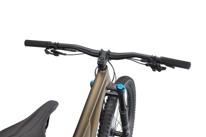 Stumpjumper Comp Alloy  - SRAM NX Eagle, Fox Rhyhm