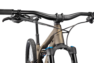 Stumpjumper Comp Alloy - SRAM NX Eagle, Fox Rhythm