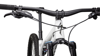 Stumpjumper Comp Alloy - SRAM NX Eagle, Fox Rhythm
