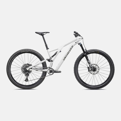 Stumpjumper Comp Alloy - SRAM NX Eagle, Fox Rhythm