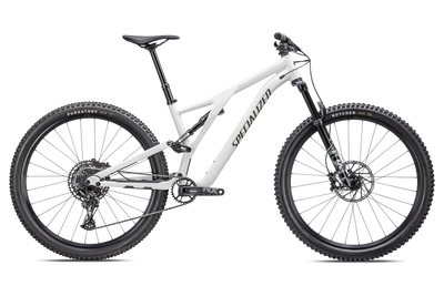 Stumpjumper Comp Alloy - SRAM NX Eagle, Fox Rhythm