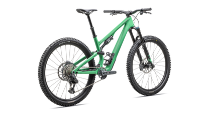 Stumpjumper 15 Expert  - SRAM GX AXS, FOX Performance Elite