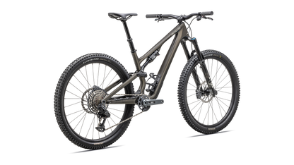 Stumpjumper 15 Expert  - SRAM GX AXS, FOX Performance Elite